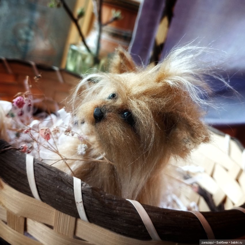 Пушистая малышка в процессе (фото 2)