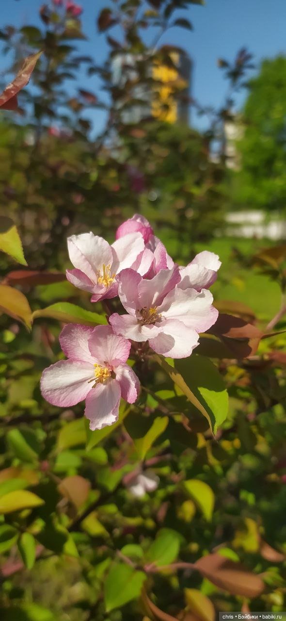 Неведома зверушка — Игровые куклы разных производителей (Разное): редкие бренды (фото 5)