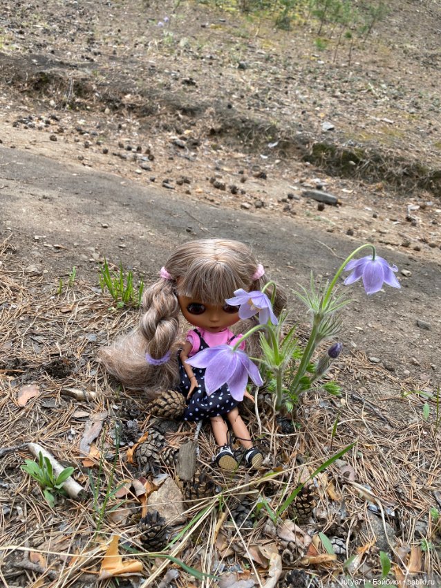 Цветёт багульник — Куклы Blythe TBL (ТБЛ) и аналоги: Блюх (фото 3)