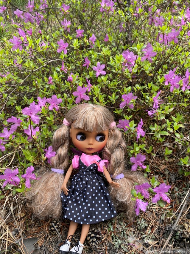 Цветёт багульник — Куклы Blythe TBL (ТБЛ) и аналоги: Блюх (фото 7)