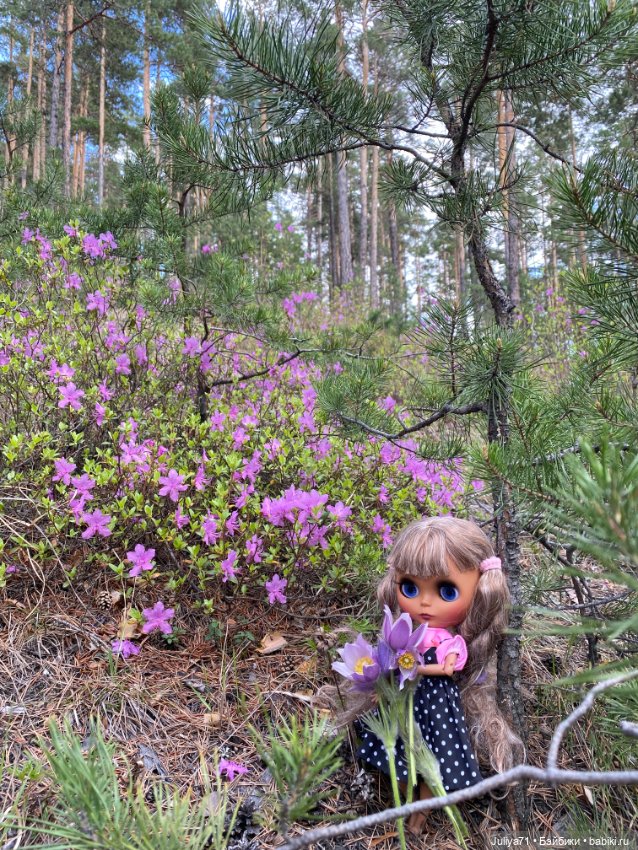 Цветёт багульник — Куклы Blythe TBL (ТБЛ) и аналоги: Блюх (фото 5)