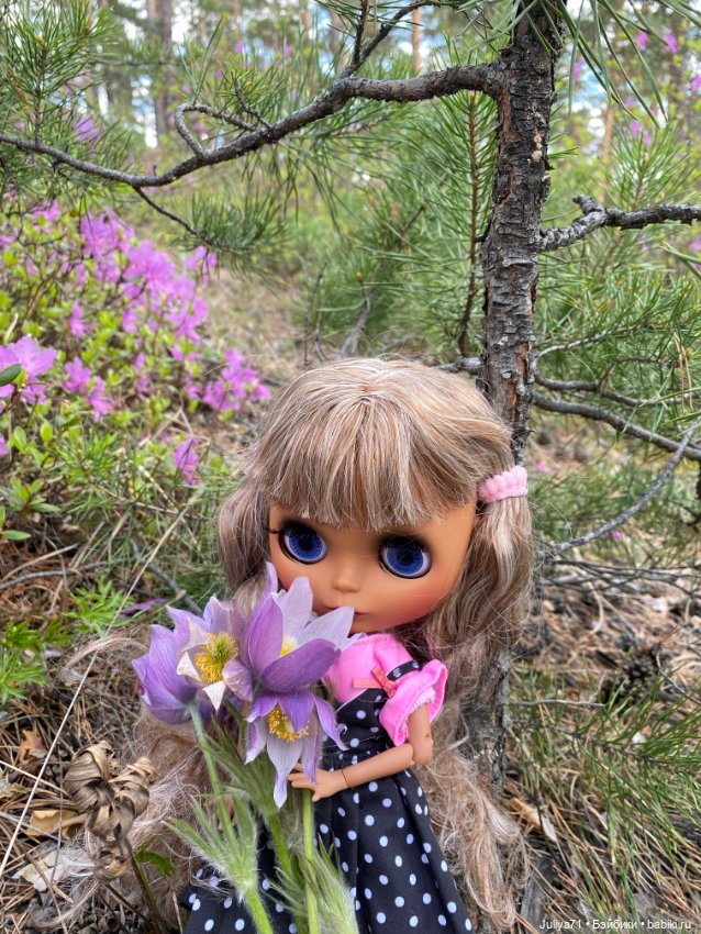 Цветёт багульник — Куклы Blythe TBL (ТБЛ) и аналоги: Блюх (фото 6)