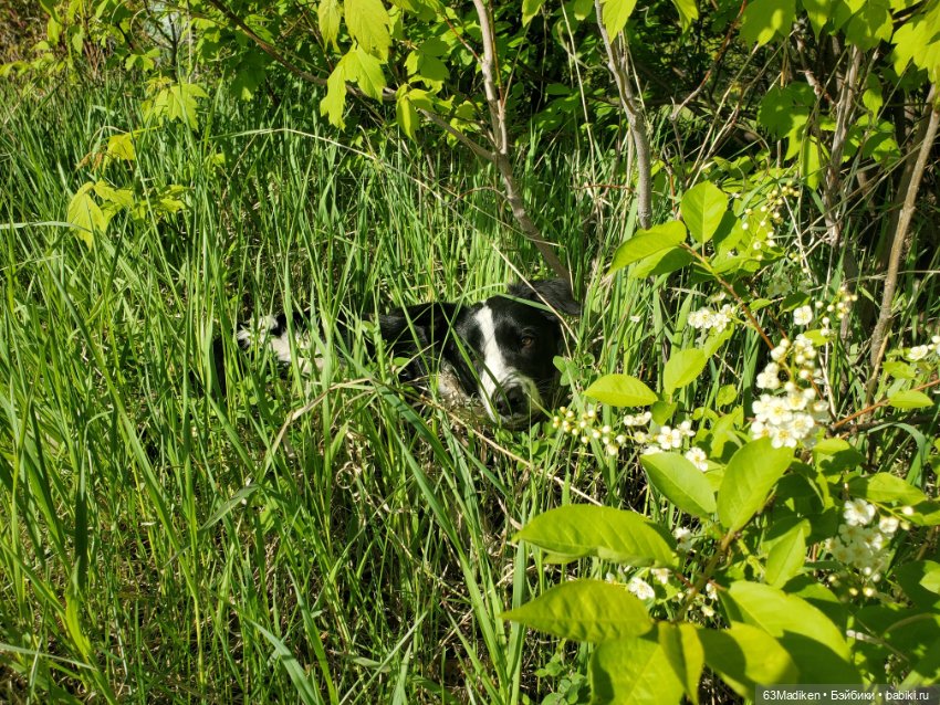 Я садовником родился — Куклы Sasha Morgenthaler (Саша Моргенталер): Trendon (фото 10)