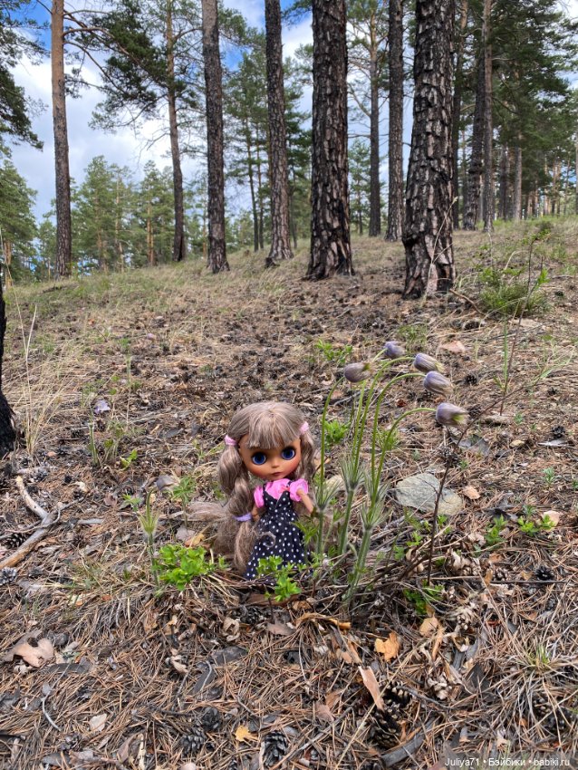 Цветёт багульник — Куклы Blythe TBL (ТБЛ) и аналоги: Блюх (фото 10)