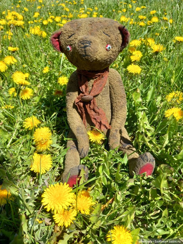 Мистер Бин. Огородные зарисовки (фото 10)