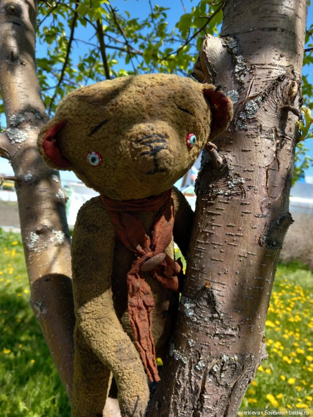 Мистер Бин. Огородные зарисовки (фото 9)