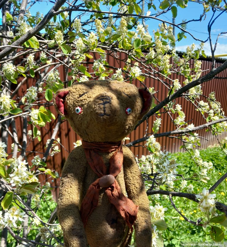 Мистер Бин. Огородные зарисовки (фото 2)