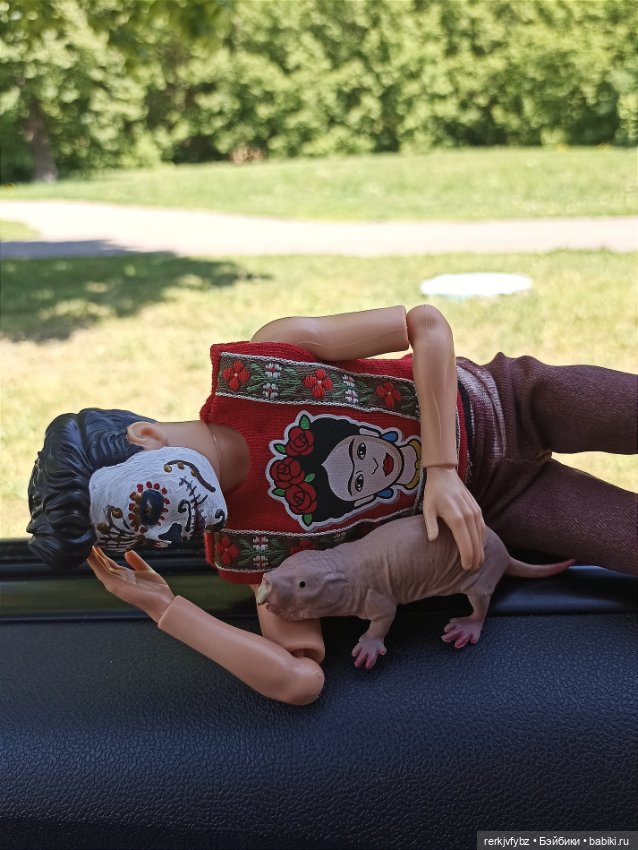 Нашли друг друг друга — Аналоги Барби и куклы 1/6: клоны 90 (фото 4)