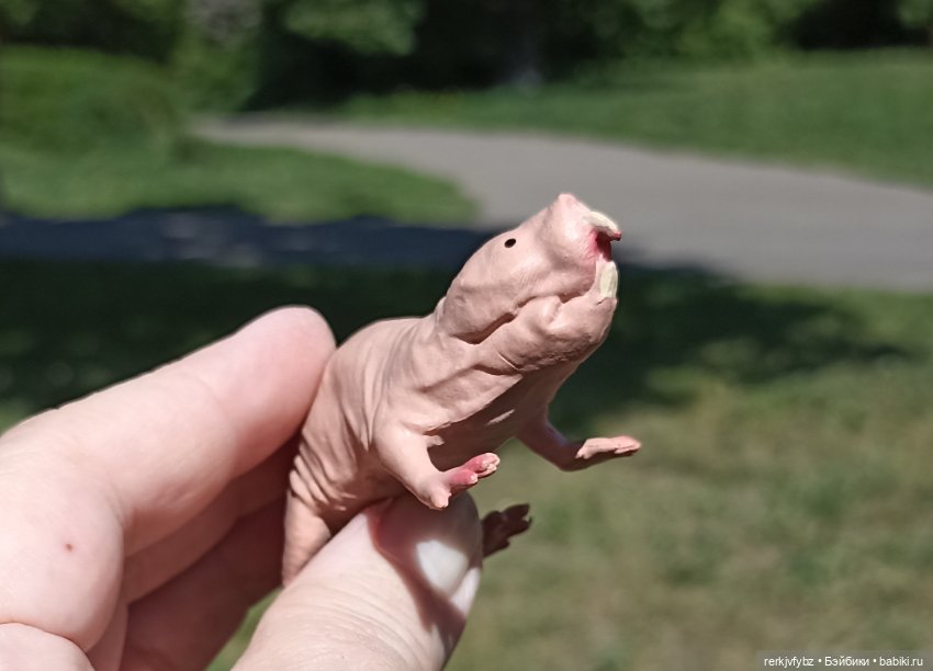 Нашли друг друг друга — Аналоги Барби и куклы 1/6: клоны 90 (фото 6)