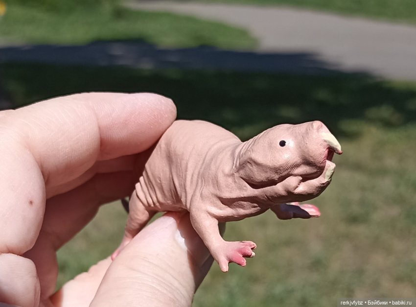 Нашли друг друг друга — Аналоги Барби и куклы 1/6: клоны 90 (фото 7)