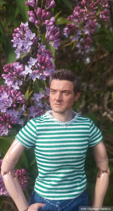 Шелл. Вести с Изнанки. Пора цветения. Портретная экшен кукла актера Джереми Реннера (фото 5)