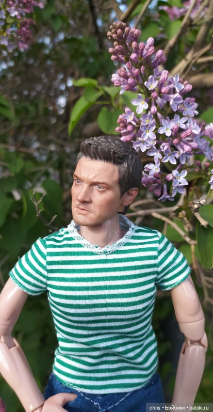 Шелл. Вести с Изнанки. Пора цветения. Портретная экшен кукла актера Джереми Реннера (фото 6)