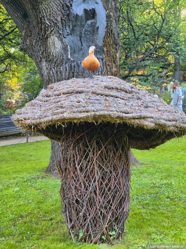 Буйство сирени в Аптекарском огороде (фото 6)