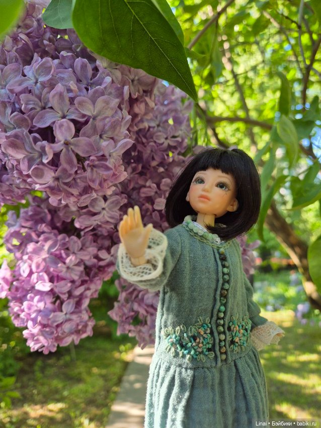 Буйство сирени в Аптекарском огороде