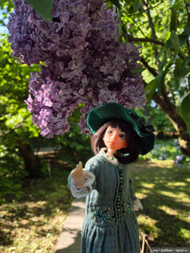 Буйство сирени в Аптекарском огороде