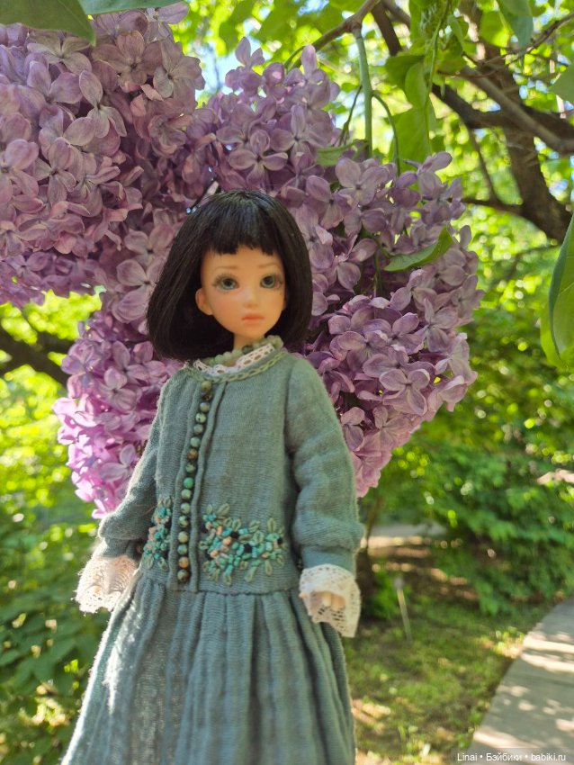 Буйство сирени в Аптекарском огороде