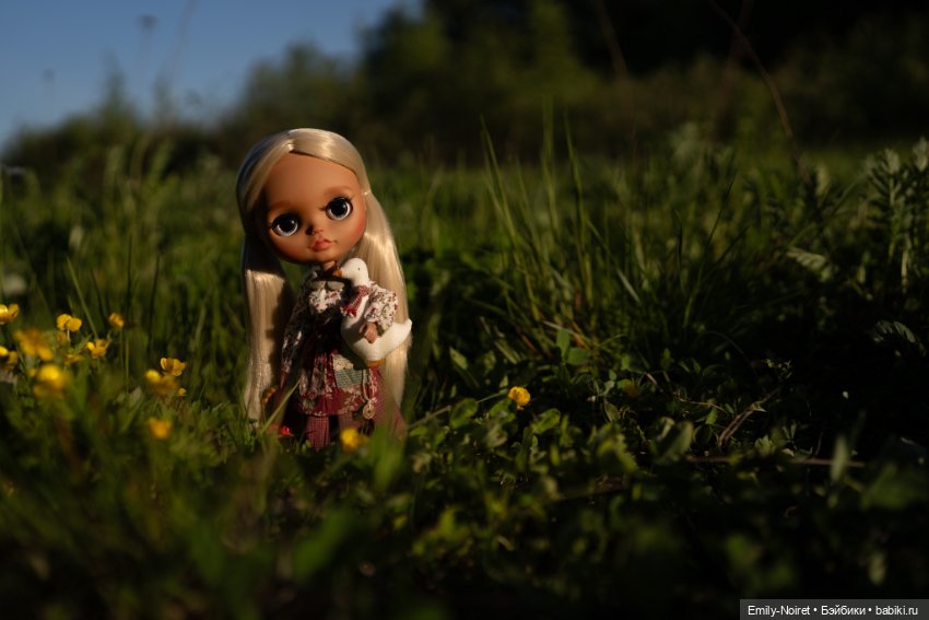 Корнелия на закате — Куклы Blythe (Блайз) ООАК: кастом