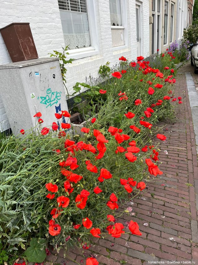 Музыкальная История 127 — Туризм и путешествия: фотоотчеты из поездок