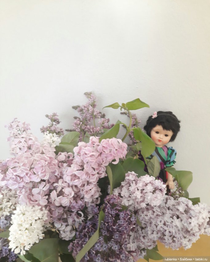 Такая разная прекрасная сирень🥰💜