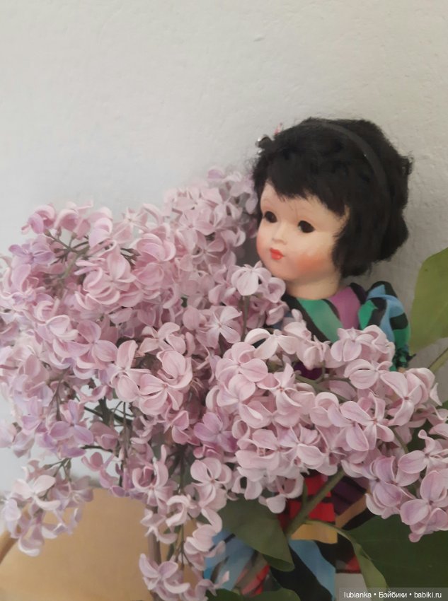 Такая разная прекрасная сирень🥰💜 (фото 8)