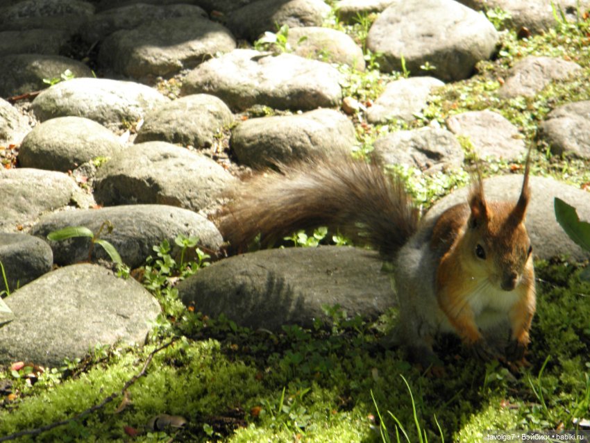 С Днём Рождения Санкт-Петербург