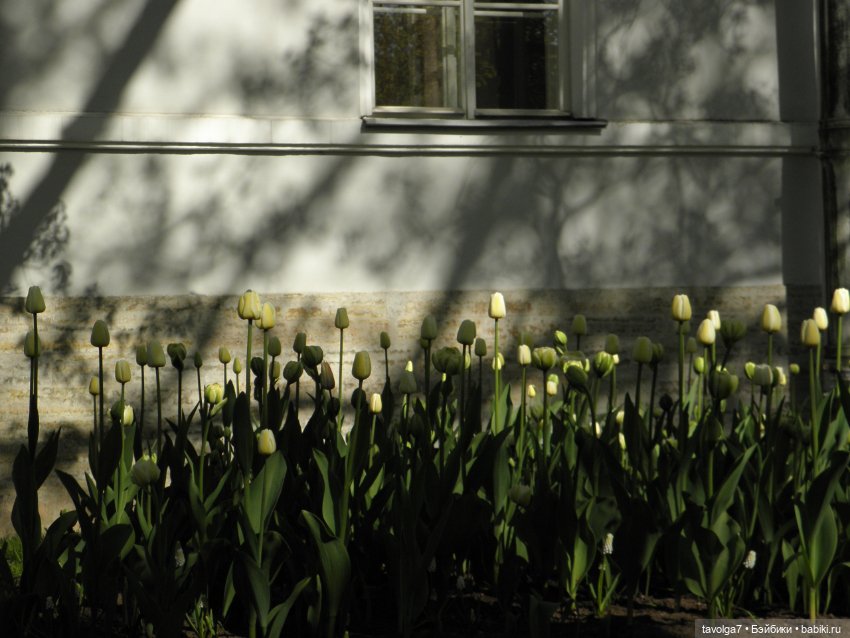 С Днём Рождения Санкт-Петербург