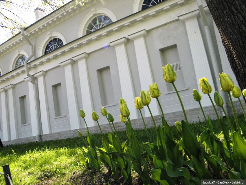 С Днём Рождения Санкт-Петербург (фото 9)