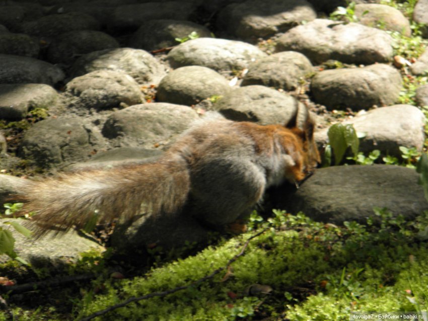 С Днём Рождения Санкт-Петербург
