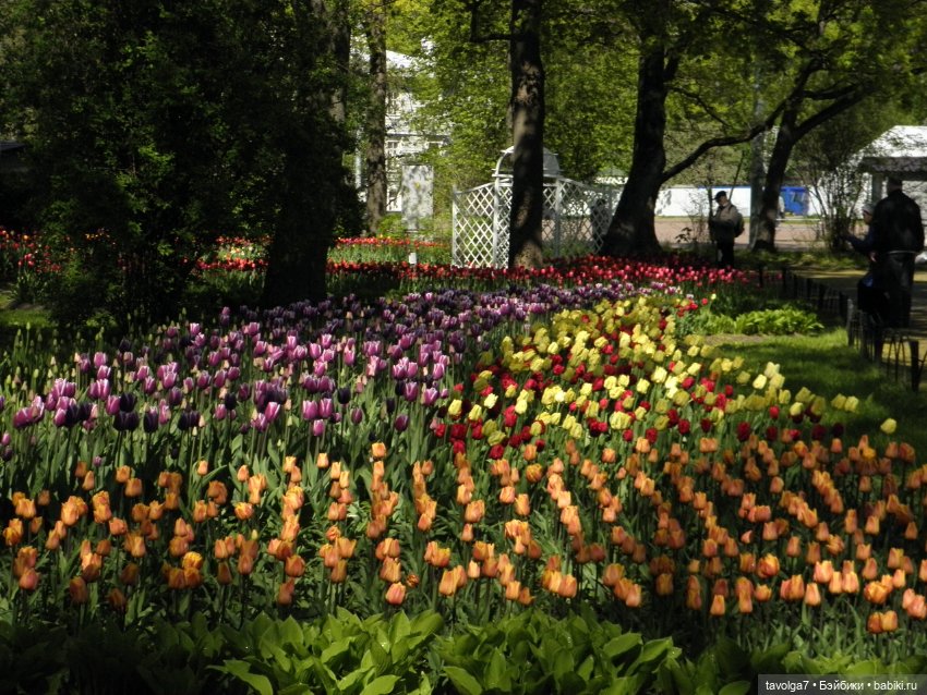 С Днём Рождения Санкт-Петербург