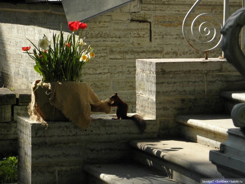 С Днём Рождения Санкт-Петербург