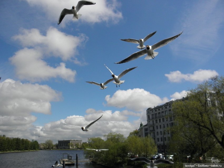 С Днём Рождения Санкт-Петербург (фото 7)