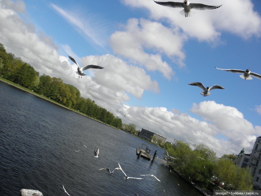 С Днём Рождения Санкт-Петербург (фото 8)