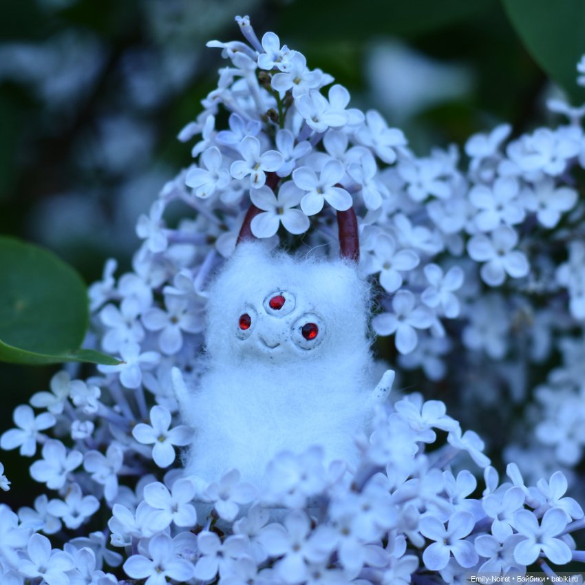 Цветы и грибы — Домашние фото авторских игрушек: Тедди