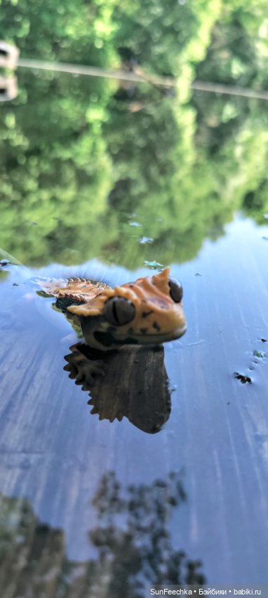 Гошка в мае — Коллекционные экшн (фото 9)