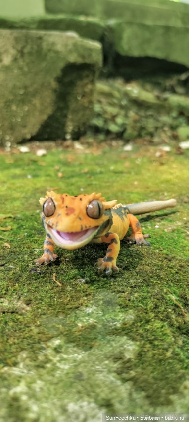 Гошка в мае — Коллекционные экшн (фото 8)