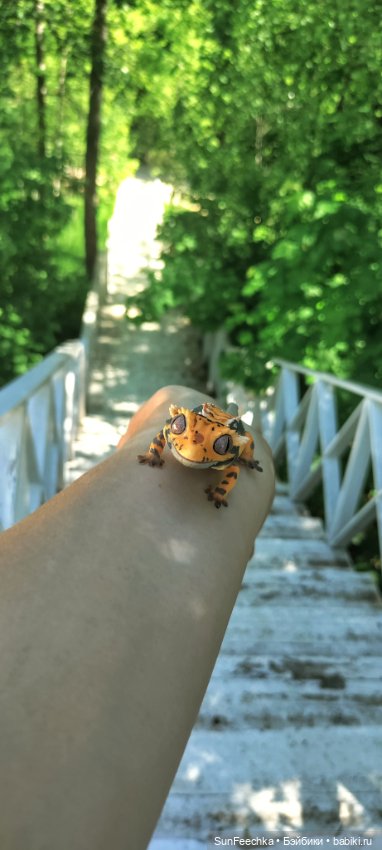 Гошка в мае — Коллекционные экшн (фото 6)