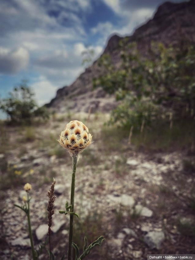 Уля путешественница — Куклы Baboliy (Баболи (фото 5)