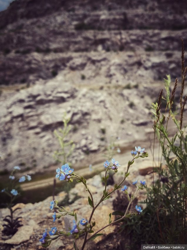 Уля путешественница — Куклы Baboliy (Баболи (фото 4)