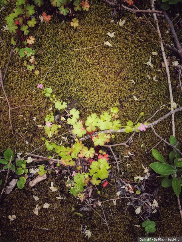 Уля путешественница — Куклы Baboliy (Баболи