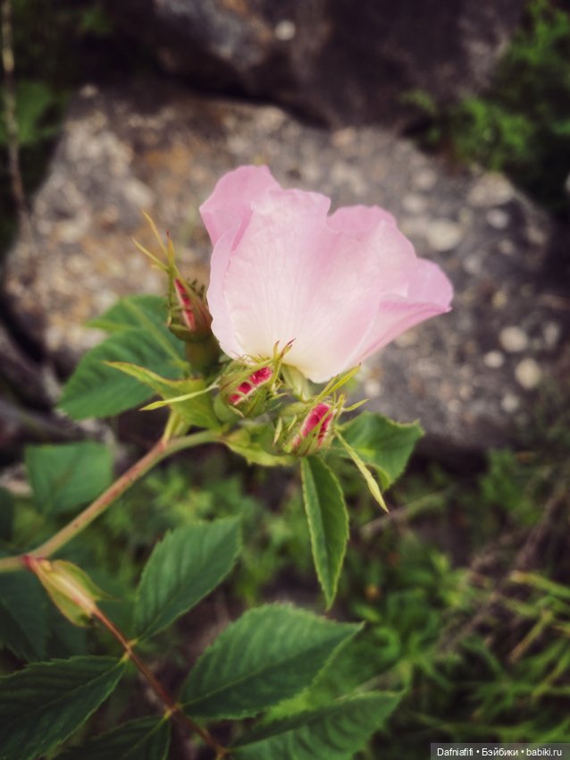 Уля путешественница — Куклы Baboliy (Баболи