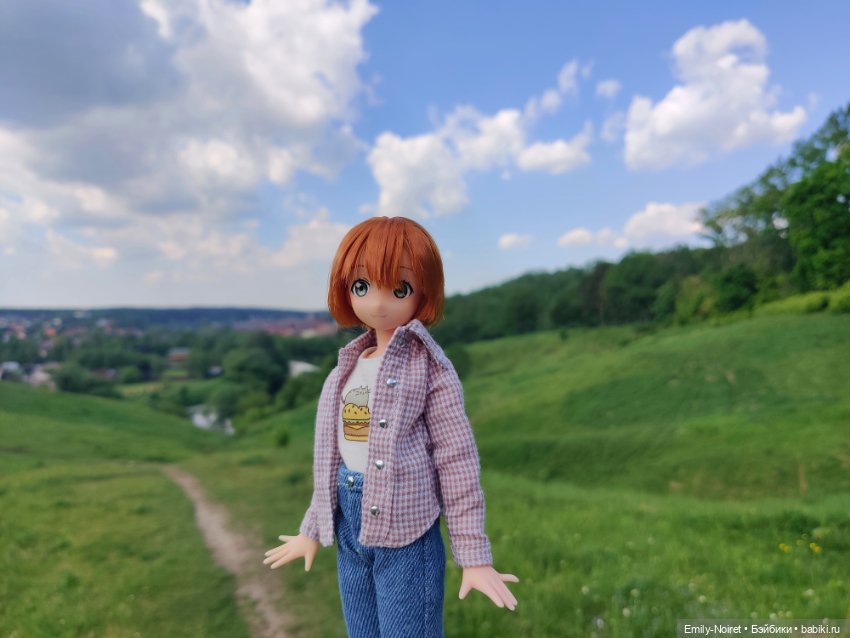 Рыжие девочки, зеленые холмы и люпины (фото 2)