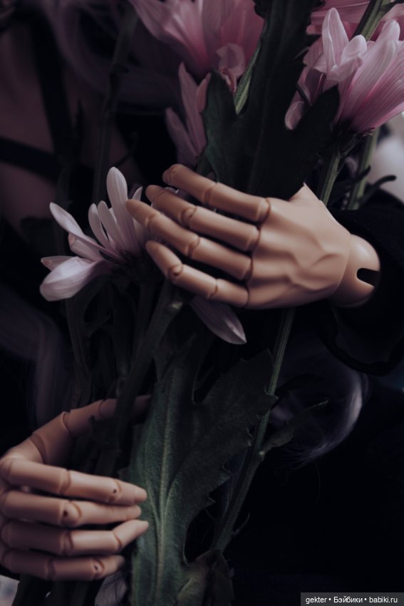 🌾𝓯𝓵𝓸𝔀𝓮𝓻𝓼 𝓪𝓷𝓭 𝓭𝓸𝓵𝓵𝓼🧸 — Гибридизация кукол BJD (БЖД): пересадка головы (фото 8)