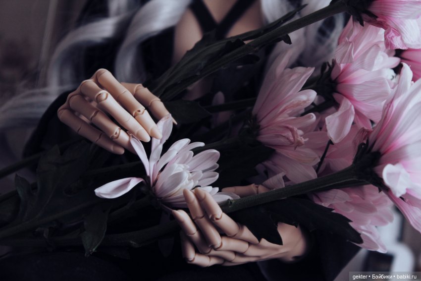 🌾𝓯𝓵𝓸𝔀𝓮𝓻𝓼 𝓪𝓷𝓭 𝓭𝓸𝓵𝓵𝓼🧸 — Гибридизация кукол BJD (БЖД): пересадка головы (фото 9)