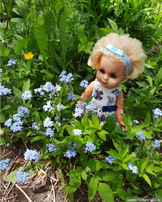 Эльза и незабудковое счастье моё💙🦋