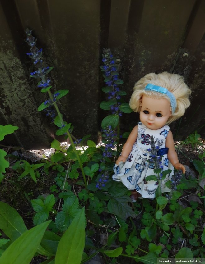 Эльза и незабудковое счастье моё💙🦋