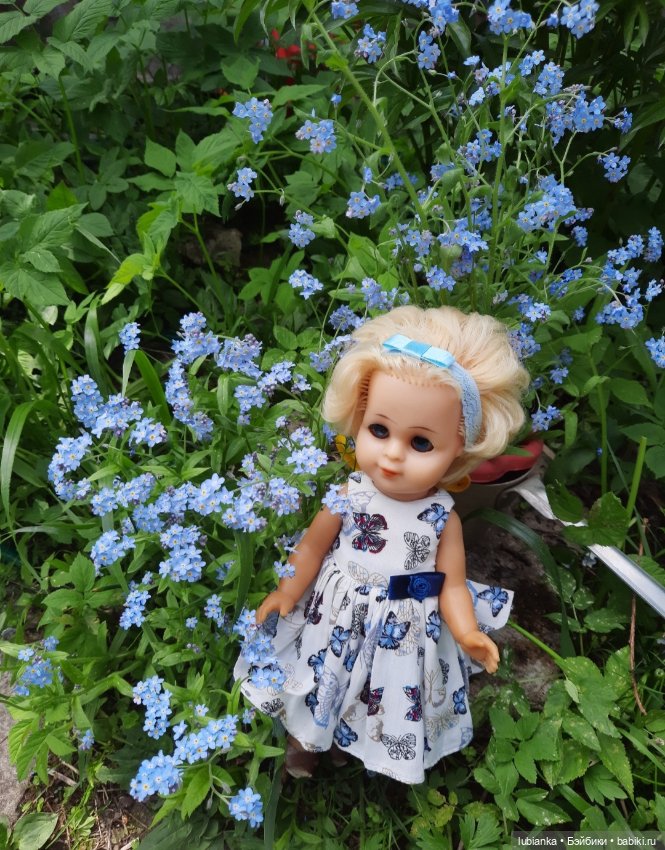 Эльза и незабудковое счастье моё💙🦋