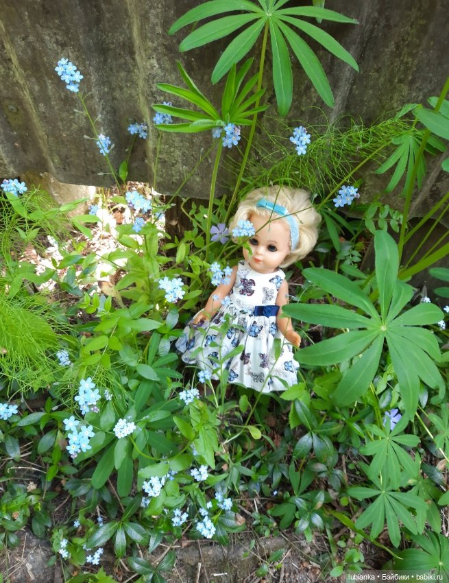 Эльза и незабудковое счастье моё💙🦋