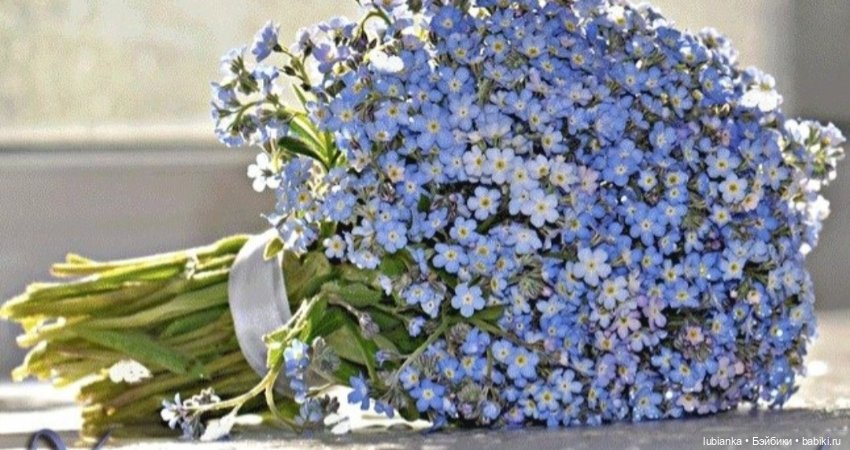 Эльза и незабудковое счастье моё💙🦋