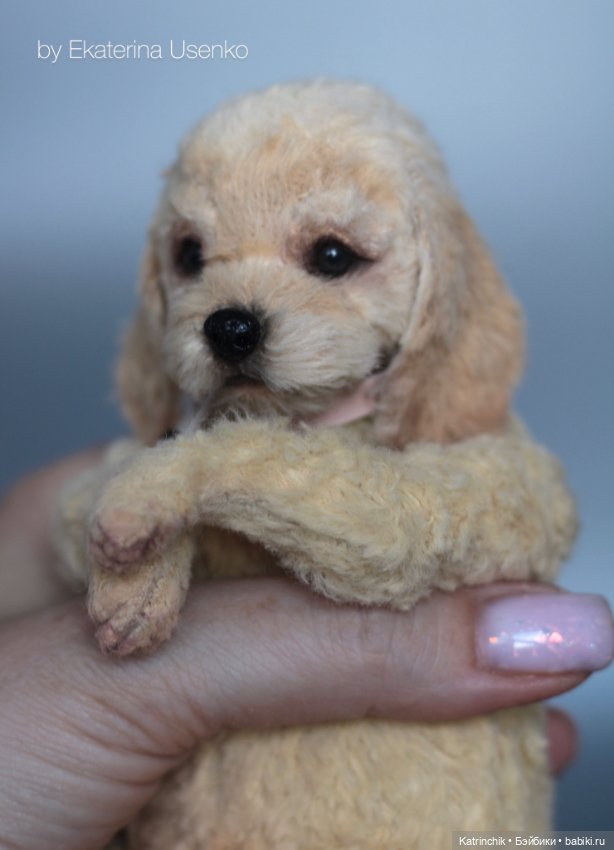 Тедди спаниель — Авторские мишки Тедди и друзья: фото