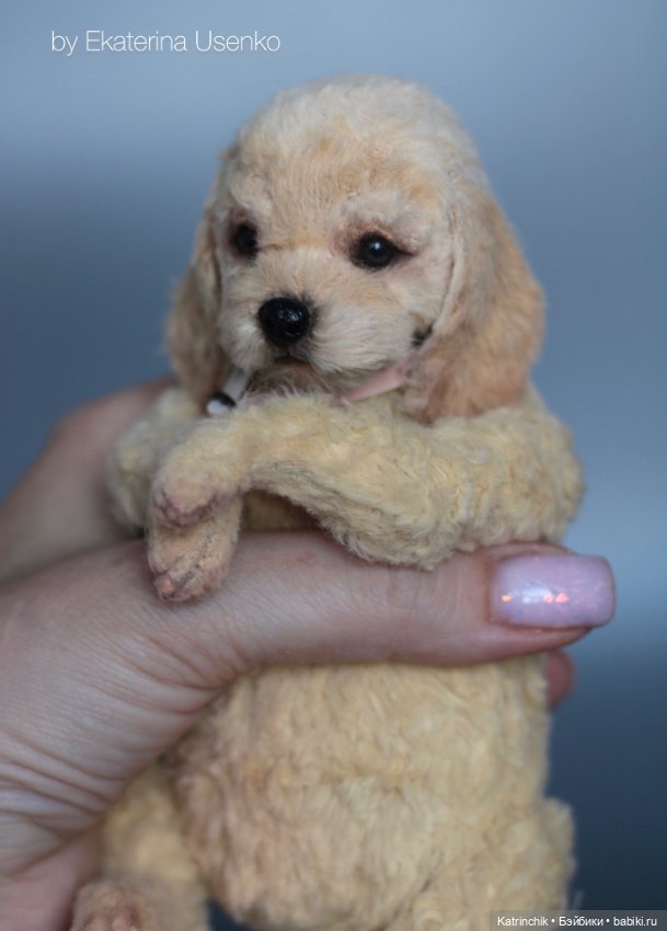 Тедди спаниель — Авторские мишки Тедди и друзья: фото (фото 5)